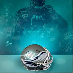 Brian Dawkins eCommerce campaign creative